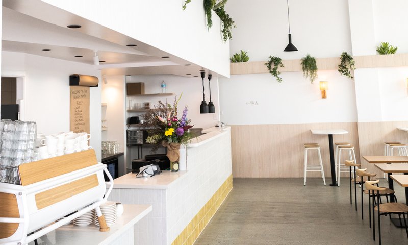 The Winey Cow photo 6